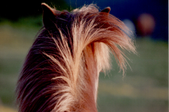 2020_web_006